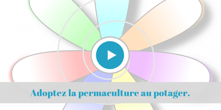 cours, formation, enligne, permaculture, potager