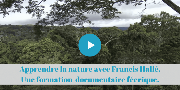 permaculture, francis, halle, documentaire