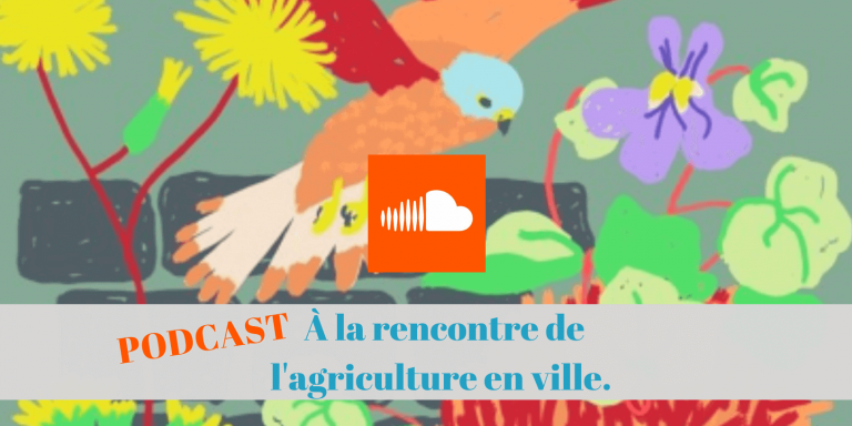 agriculture, ville, permaculture, urbaine, podcast